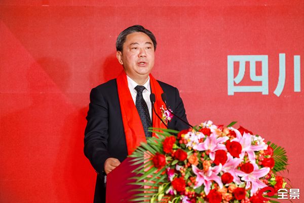 省自然资源厅党组成员、副厅长丁湘致辞_副本.jpg